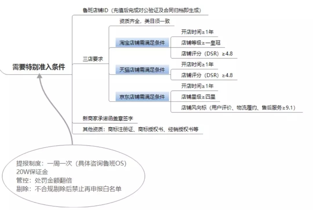 鲁班二类电商最新类目及新商家推广标准(图2)