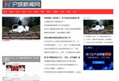 沪城新闻网软文发布营销新闻媒体发稿多少钱