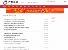 广东晨网-新闻稿品牌软文发布