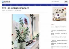 城市财经网-新闻稿品牌软文发布多少钱