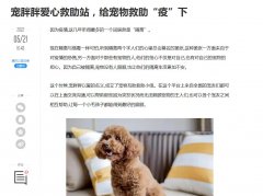 腾讯网公益官方（新闻稿软文发布）